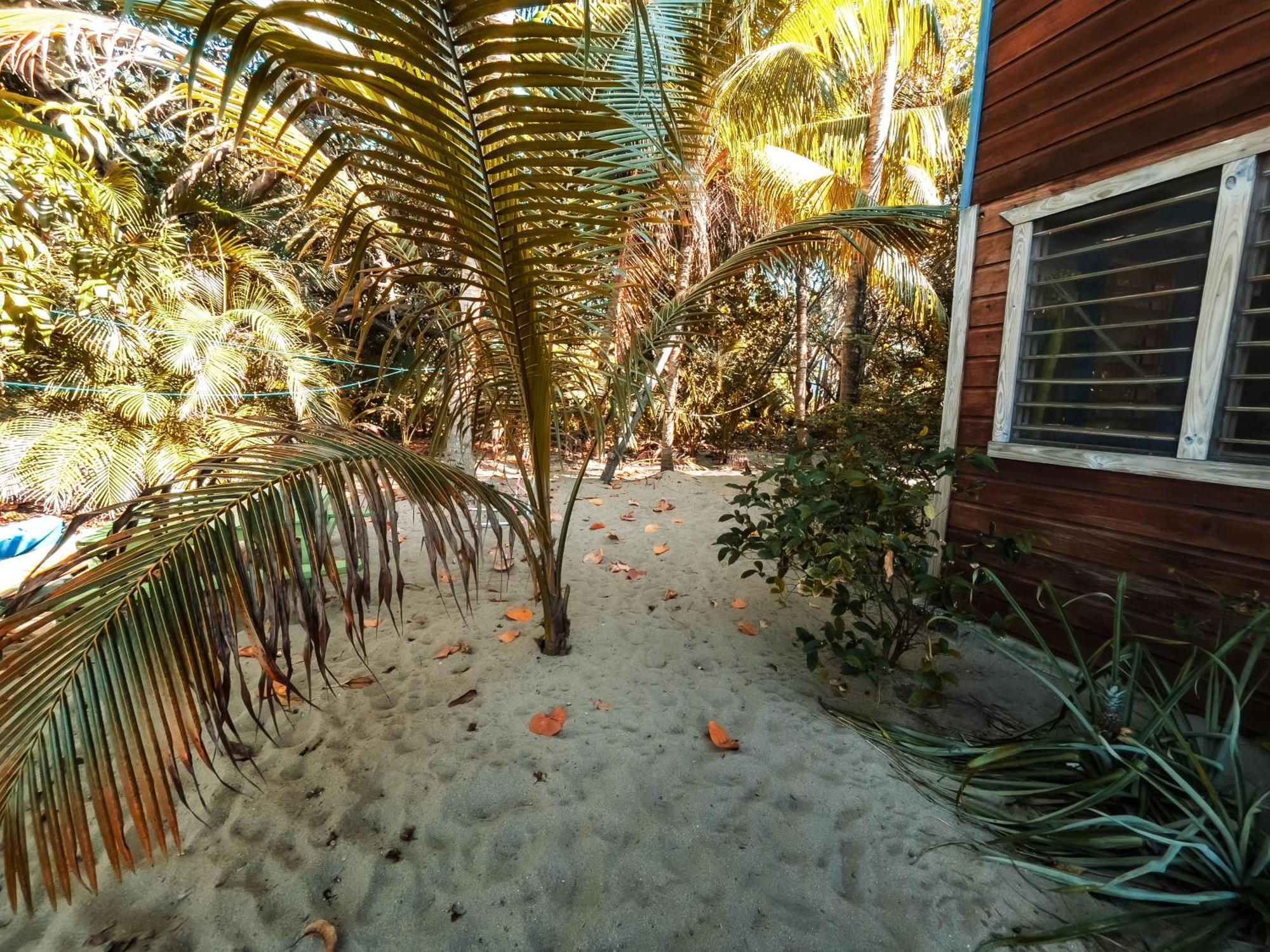 Anda Di Hows Hostel Placencia Exterior photo